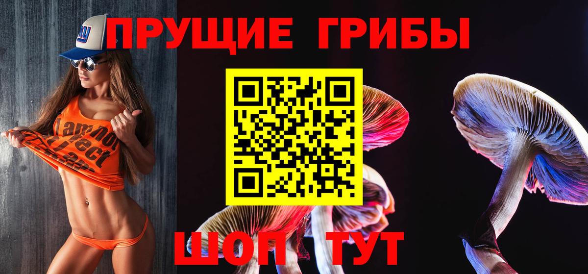 Псилоцибиновые грибы Cubensis  Вход с VPN  Набережные Челны  Псилоцибиновые грибы Psilocybe 